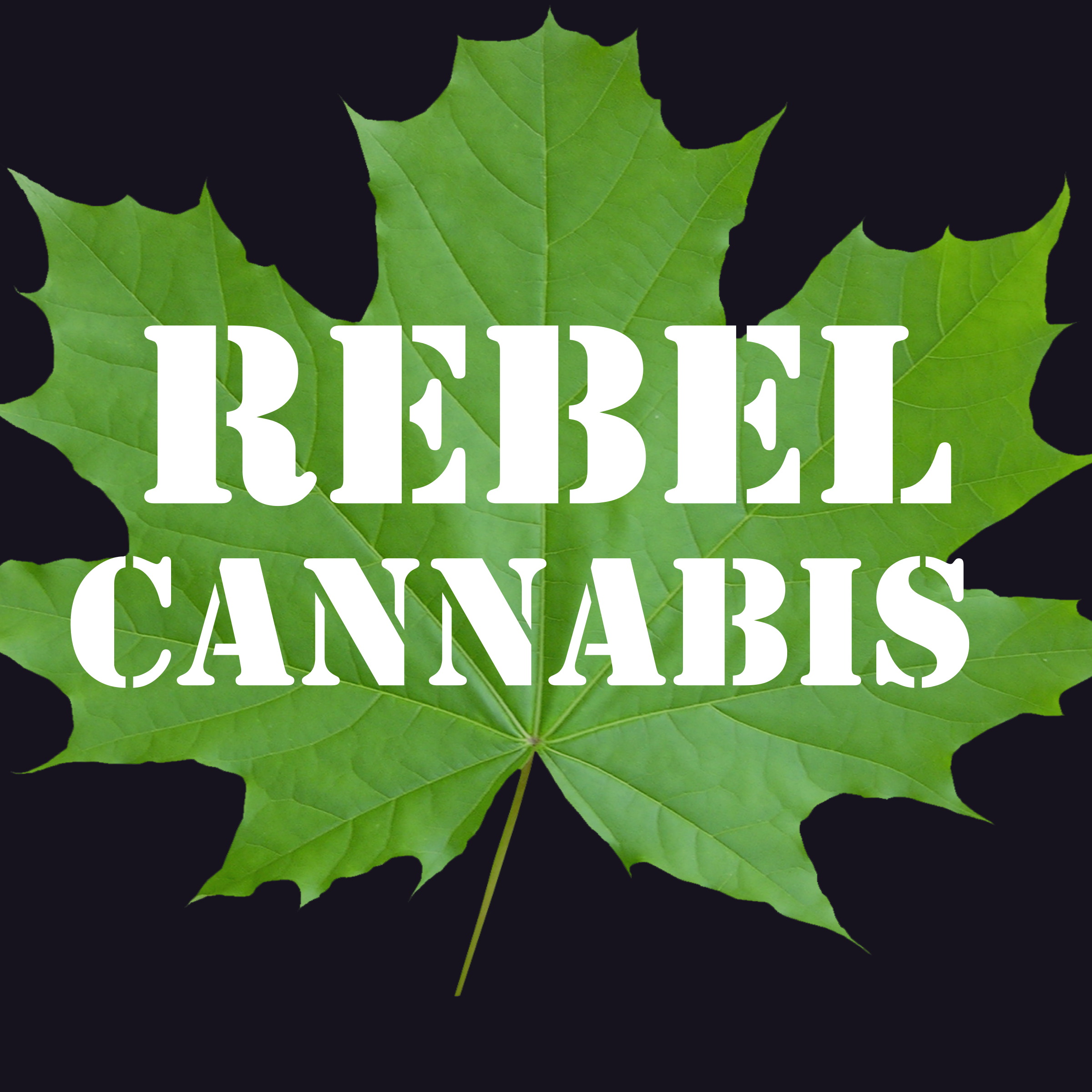 Cannabis dispensary marketing and advertising